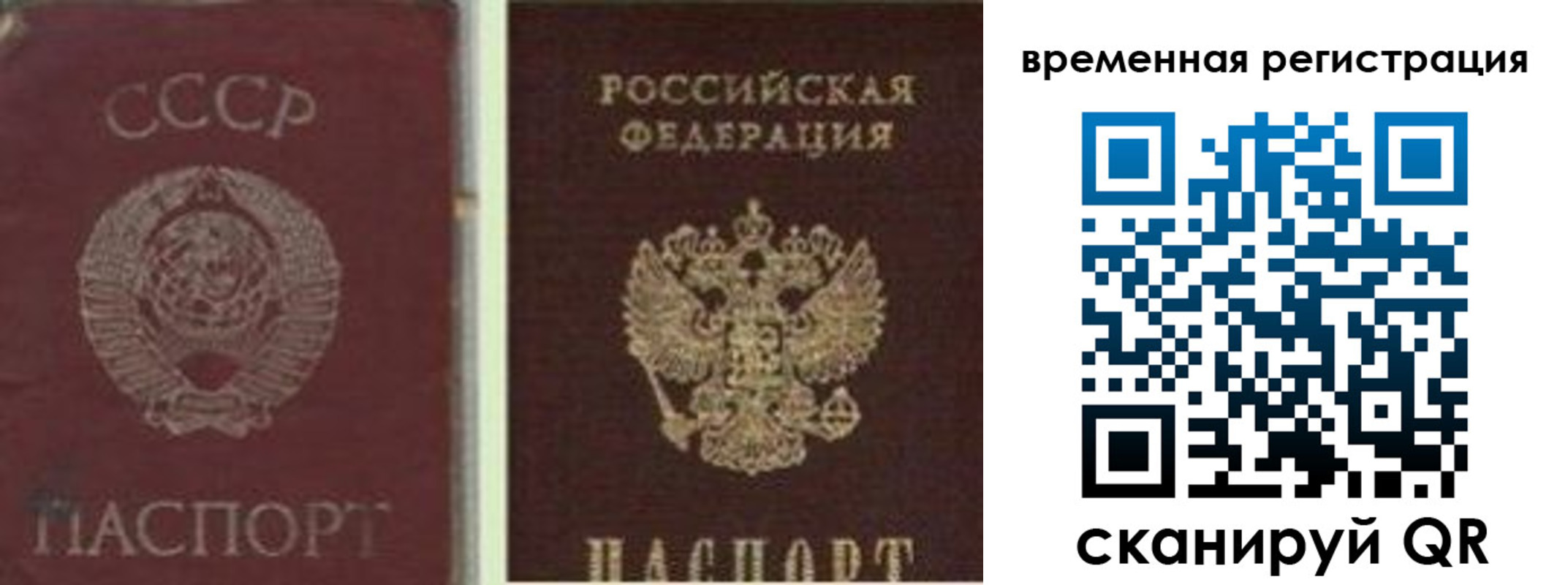 найти адрес прописки в Гвардейске
